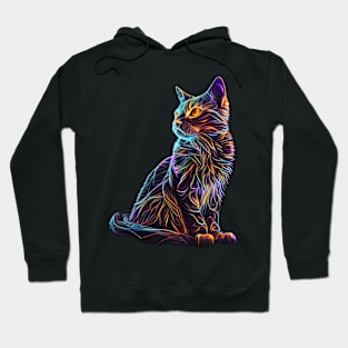 Colourful cat Hoodie